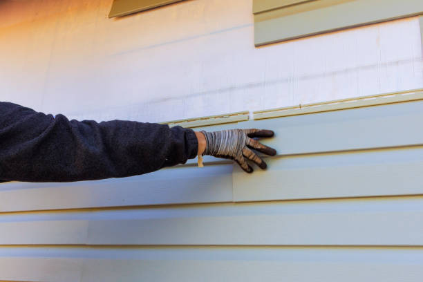 Best Insulated Siding Installation  in Newark, IL